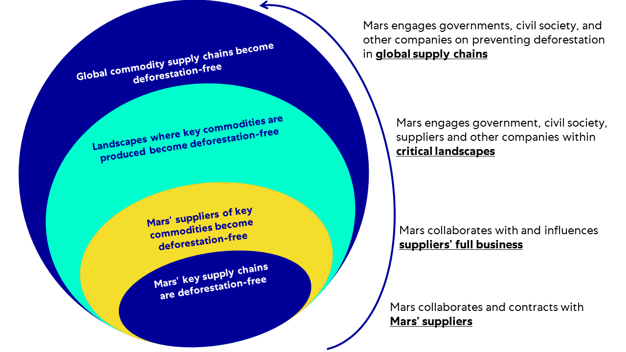 Long-term vision for deforestation prevention