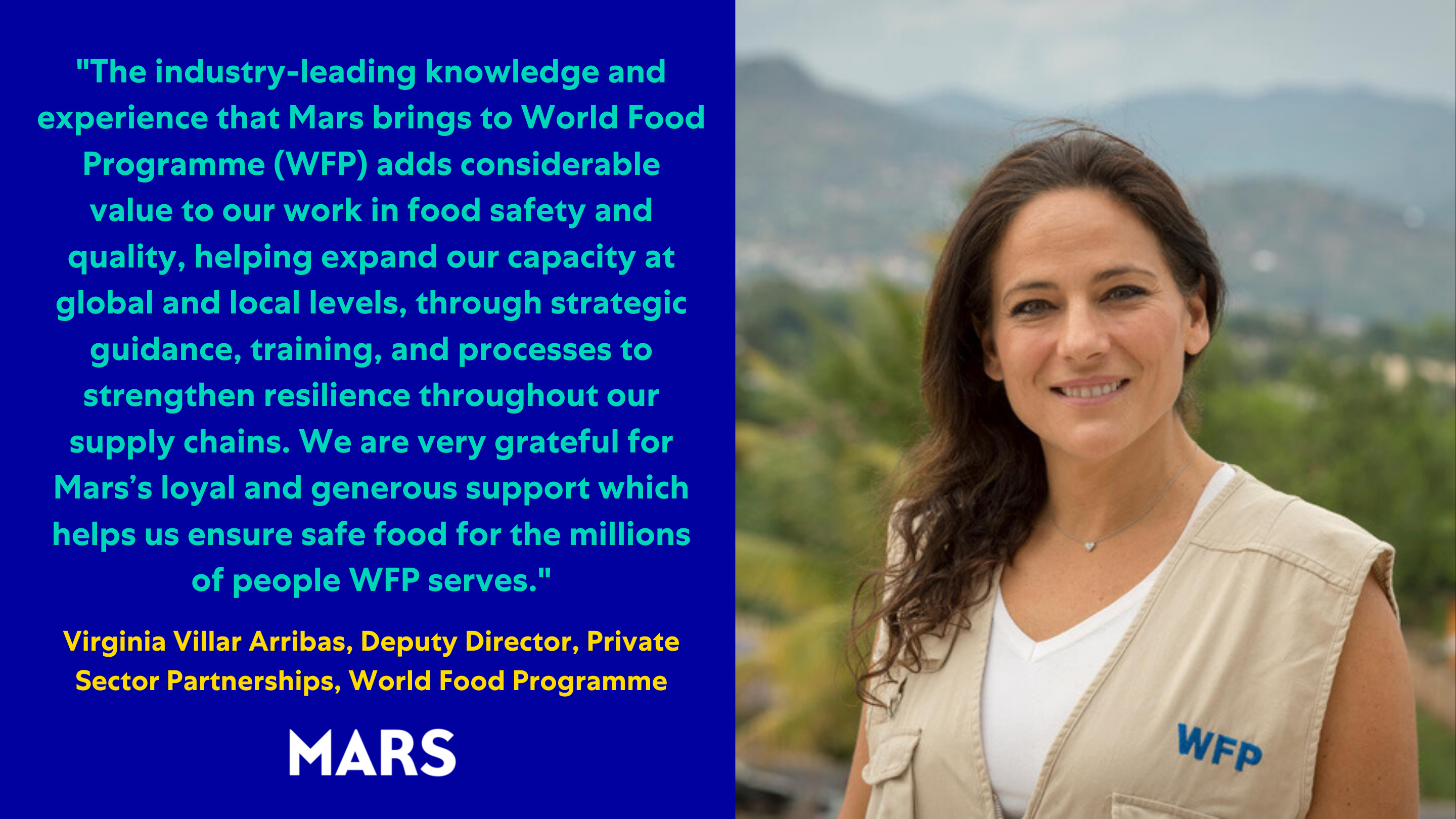 Portrait of and quote from Virginia Villar Arribas, Deputy Director, Private Sector Partnerships, World Food Programme