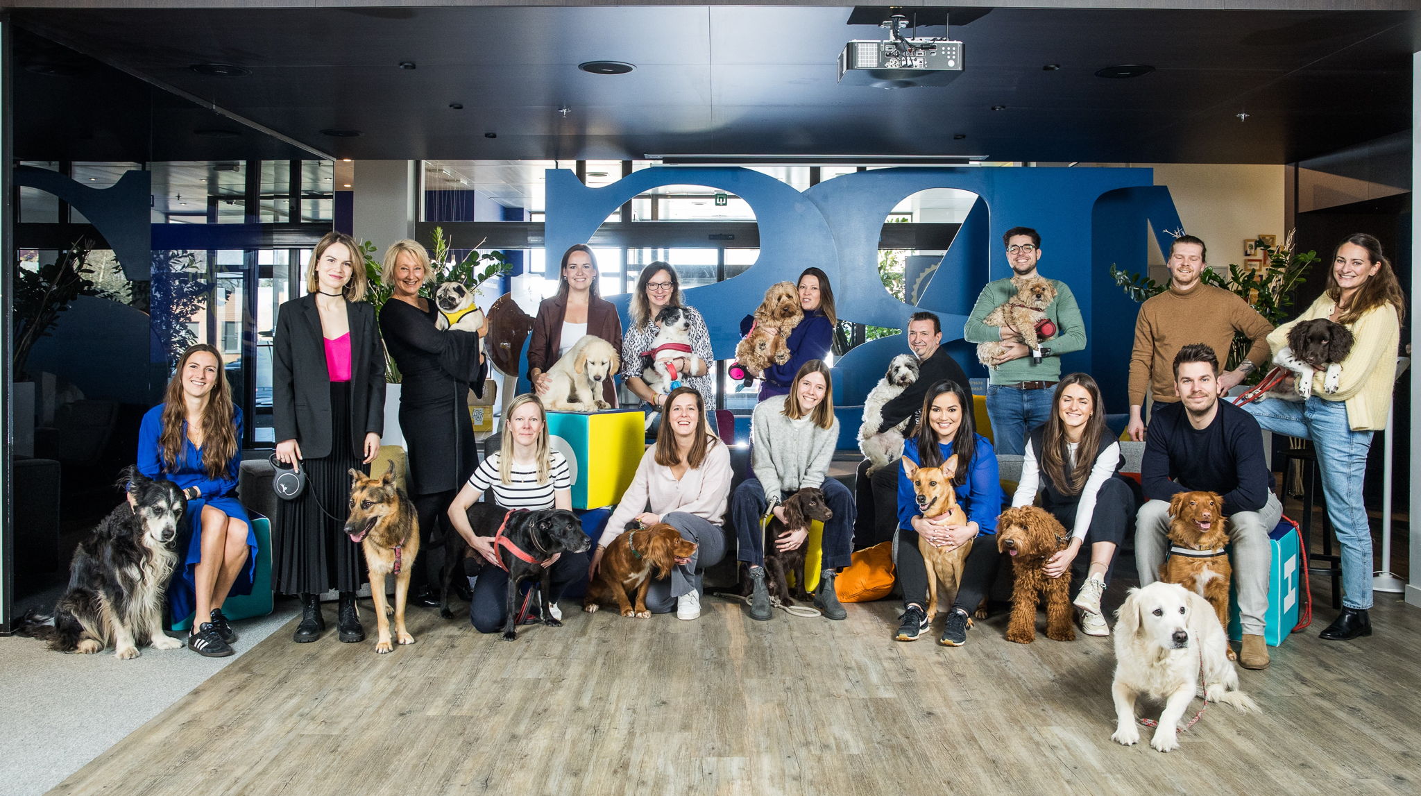People in an office with dogs