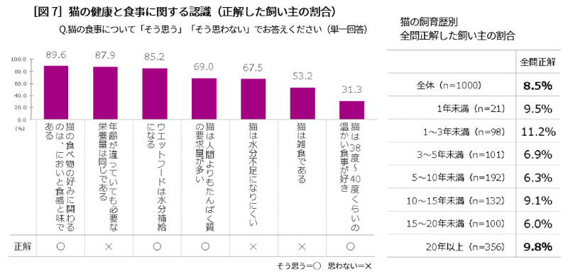 Kalkan Survey Japan Figure 7