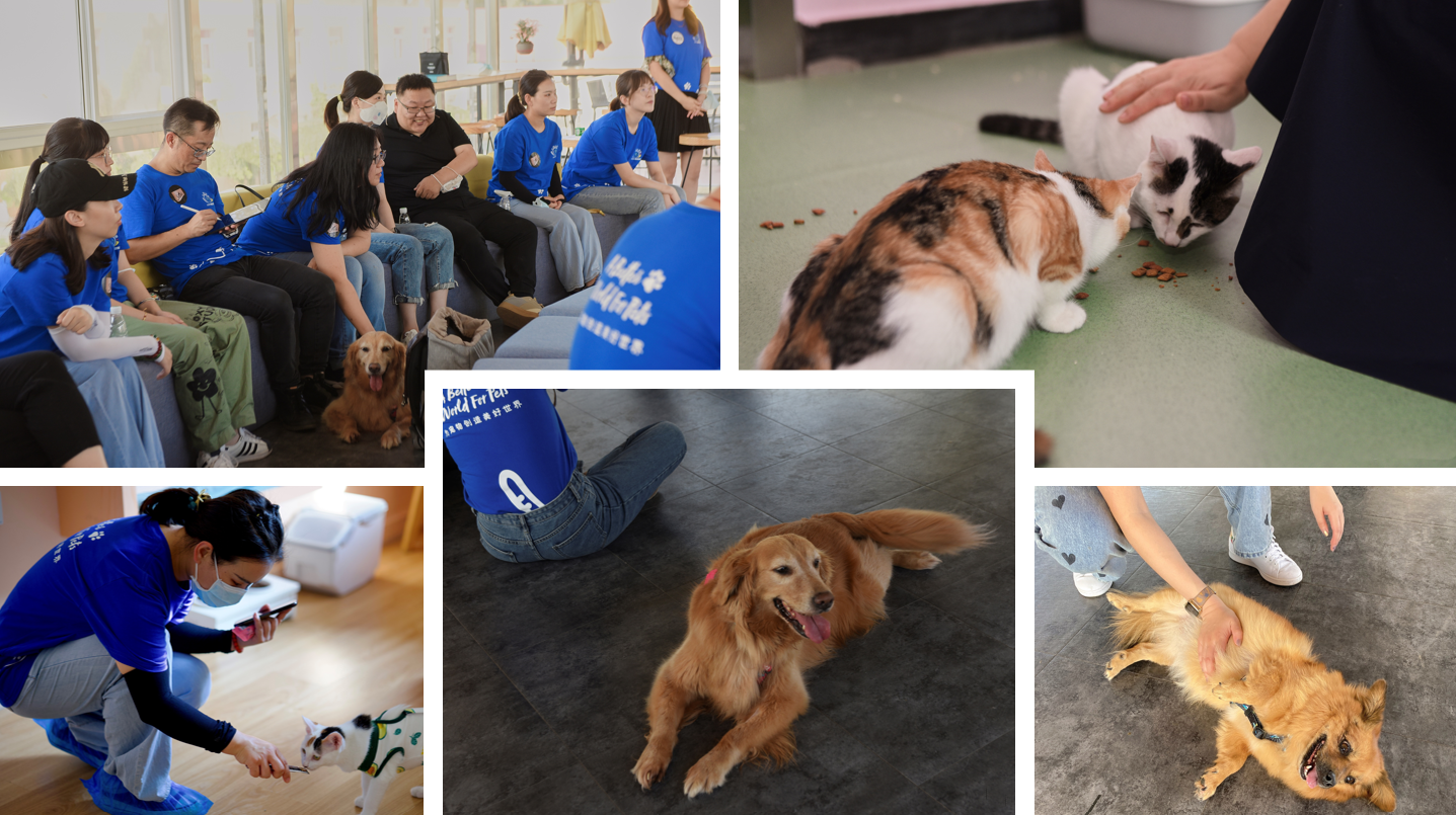 Volunteer Activities