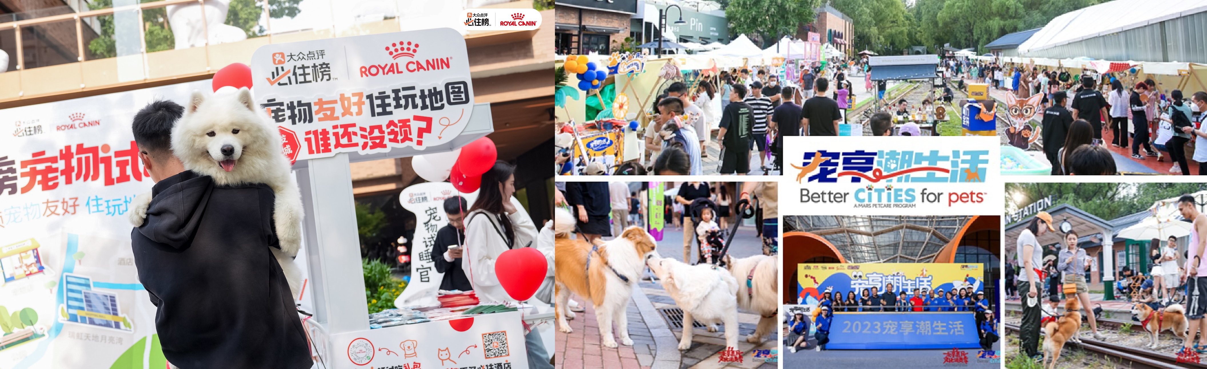 RC & PN Pet Friendly Activities