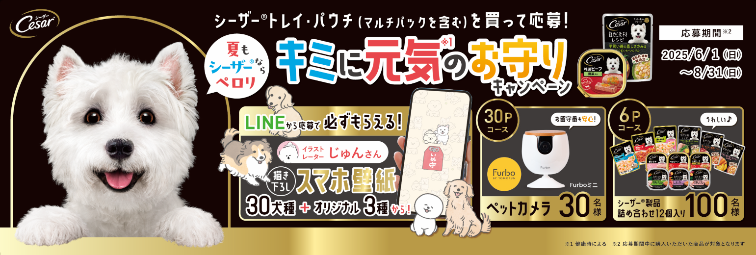 CesarCP MAIN_20250530