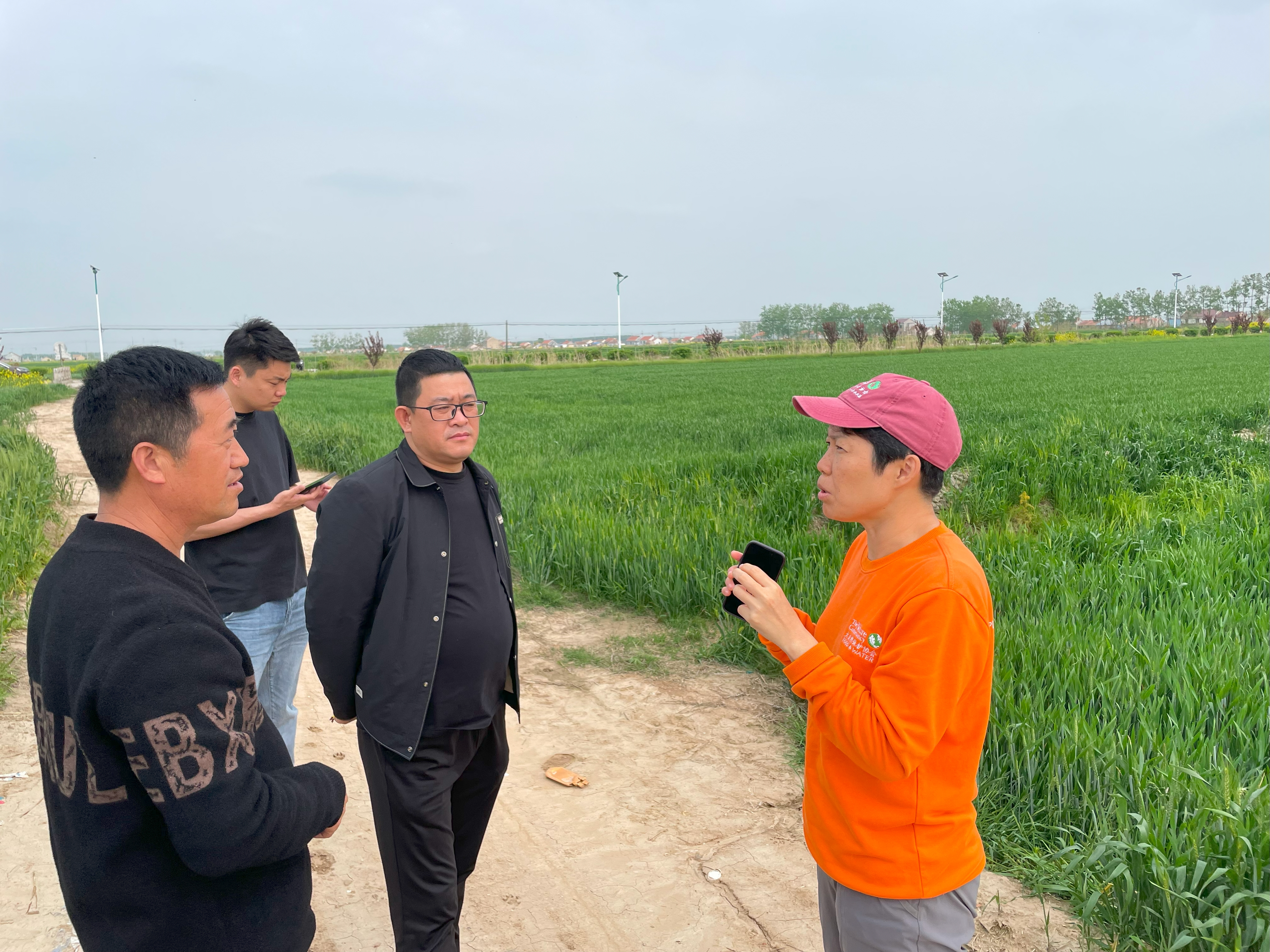 皇家 大自然保护协会 皇家小麦原料主要种植基地