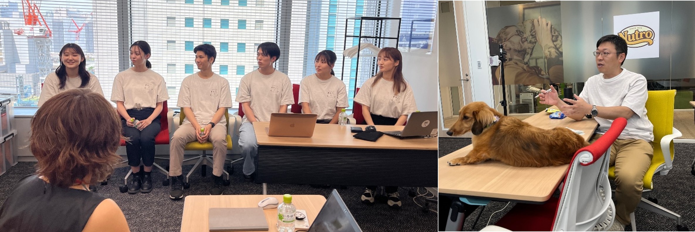 IDM_CapstoneProj. 20250820_pic.