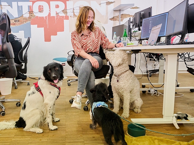 Kollege Hund 2025 Deutscher Tierschutzbund Contorion STIER