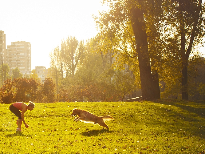 Woman and her dog playing in an urban park 