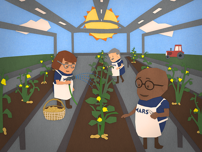 Protect the Peanut Plan Greenhouse Still