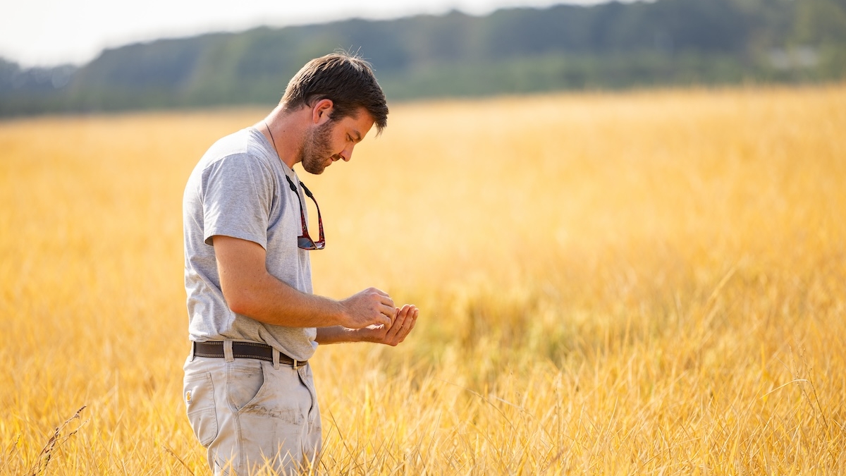 Man in a field