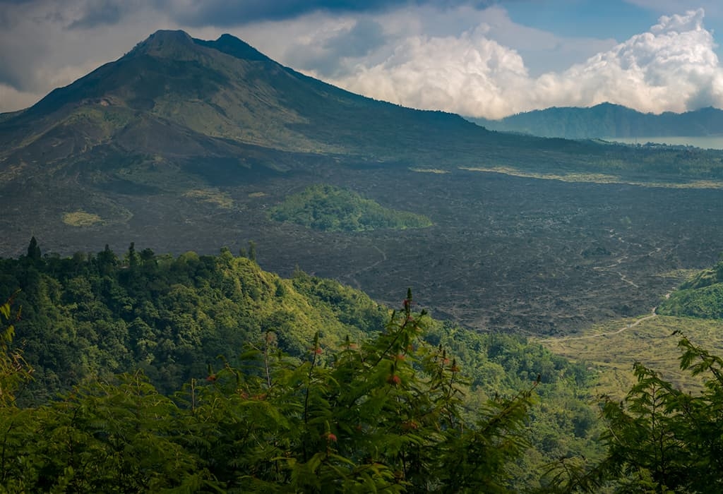 Deforestation Overview