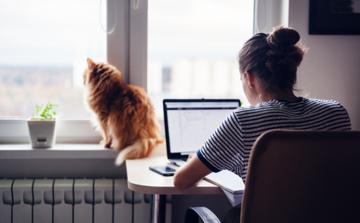 Mars Associate works in her home office spending quality time with her cat.