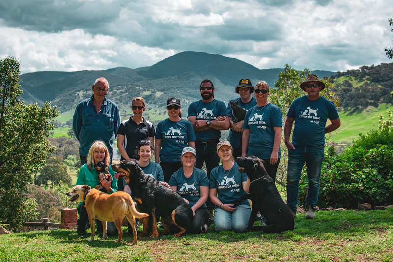 Mars Petcare™ Associates in Australia recently spent 880 hours volunteering with shelters and animal rescues in a single day
