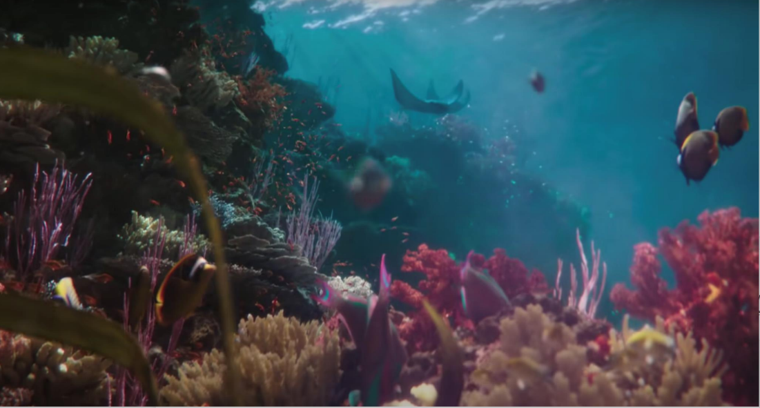 Creating hope for our oceans through coral reef restoration