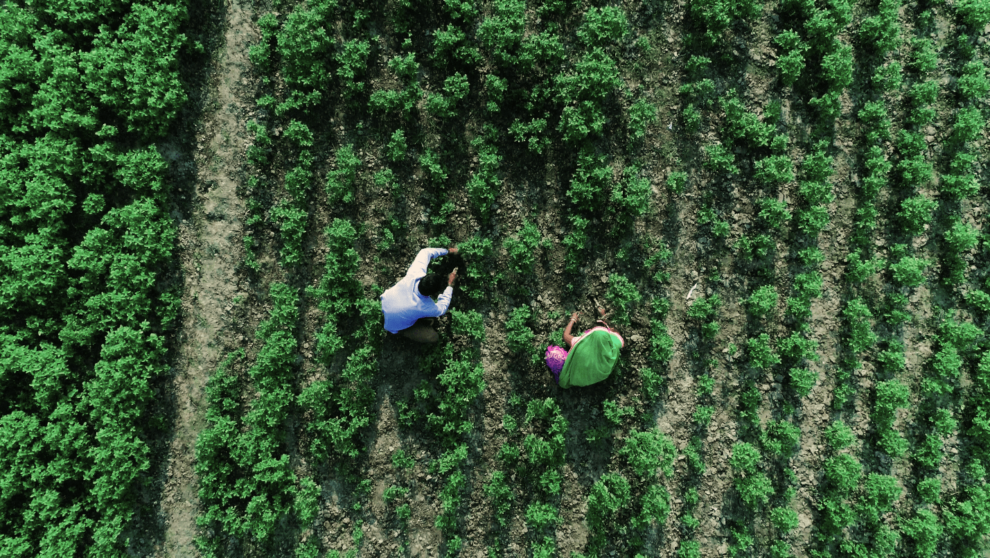 The Intersection of Ethics and Competence 