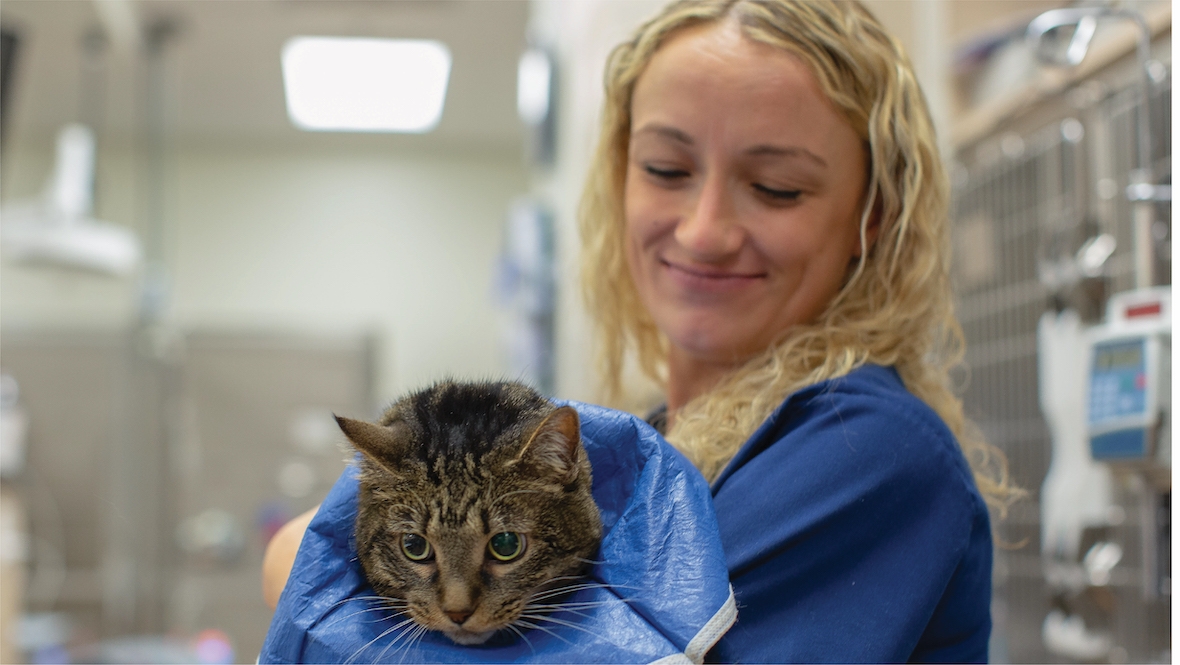 A better world for pets starts with the wellbeing of their vets