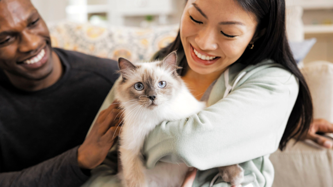Couple holding a kitten