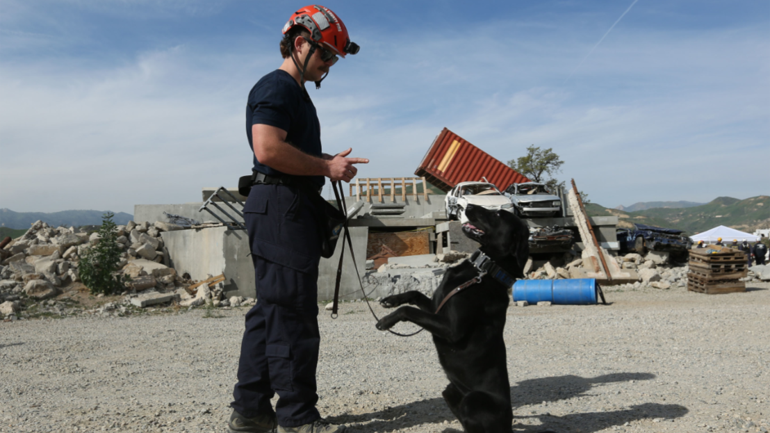 LA County Fire Department Search and Rescue team member training a dog