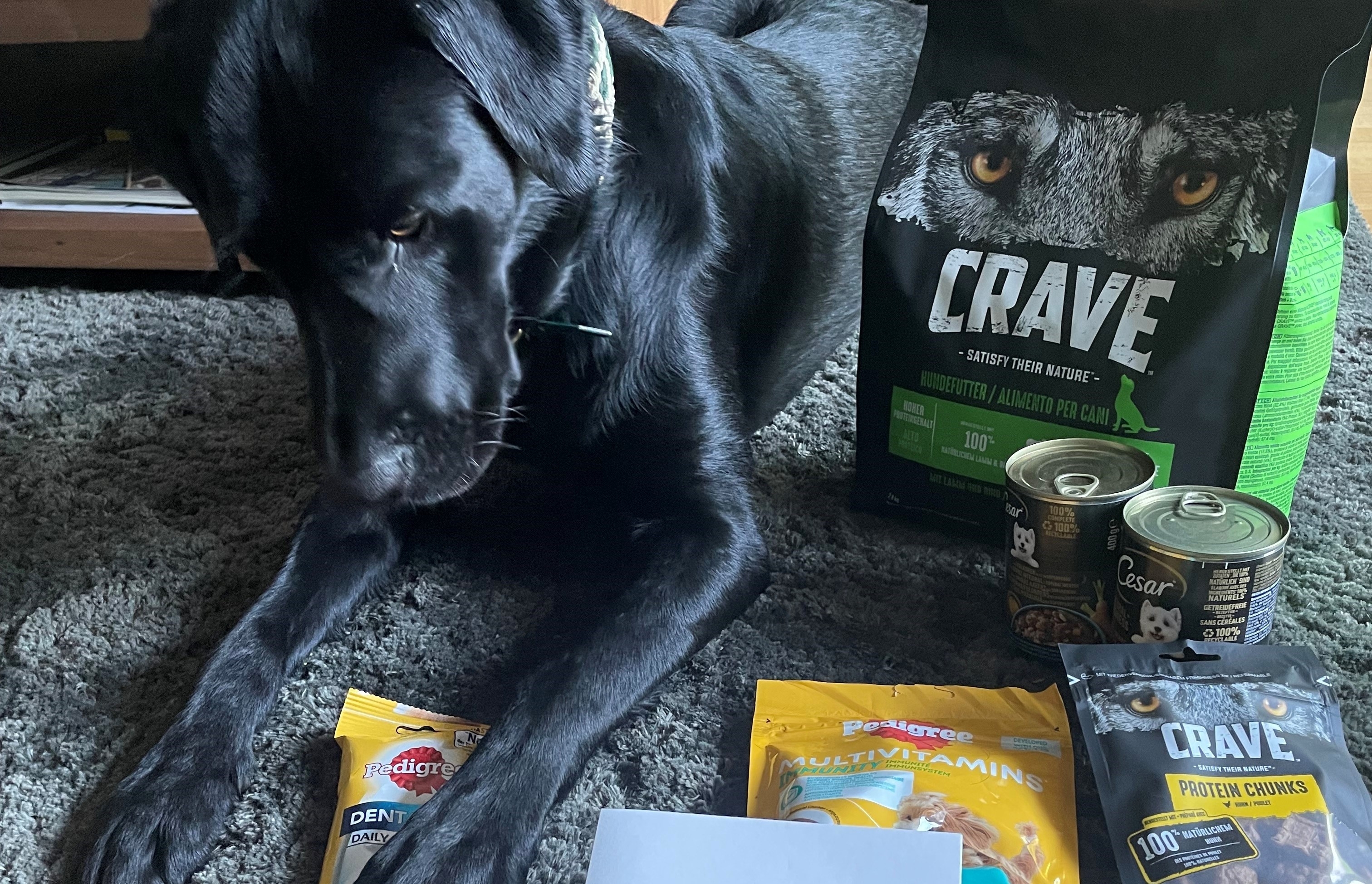 Mars_Petcare abetterworldforpets_2