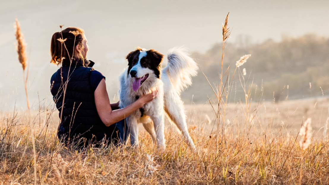Woman sitting in a field with her dog