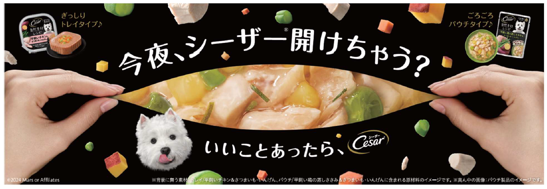 Mars Cesar_Camp_20240701_Main