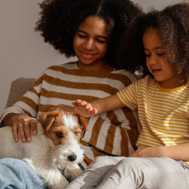 Two children petting a dog on a couch