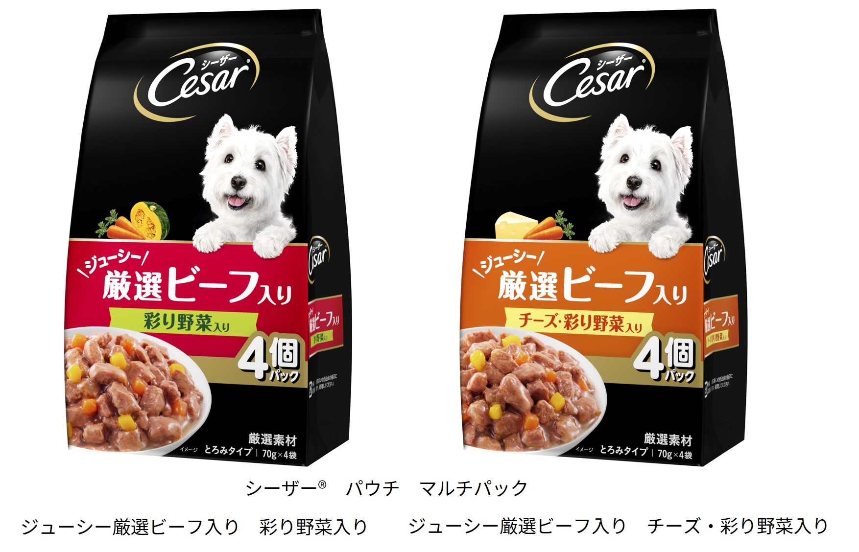 シーザーパウチ文字入り img