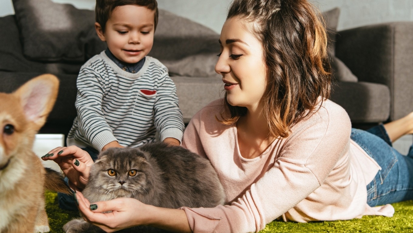 UN MUNDO MEJOR PARA LAS MASCOTAS
