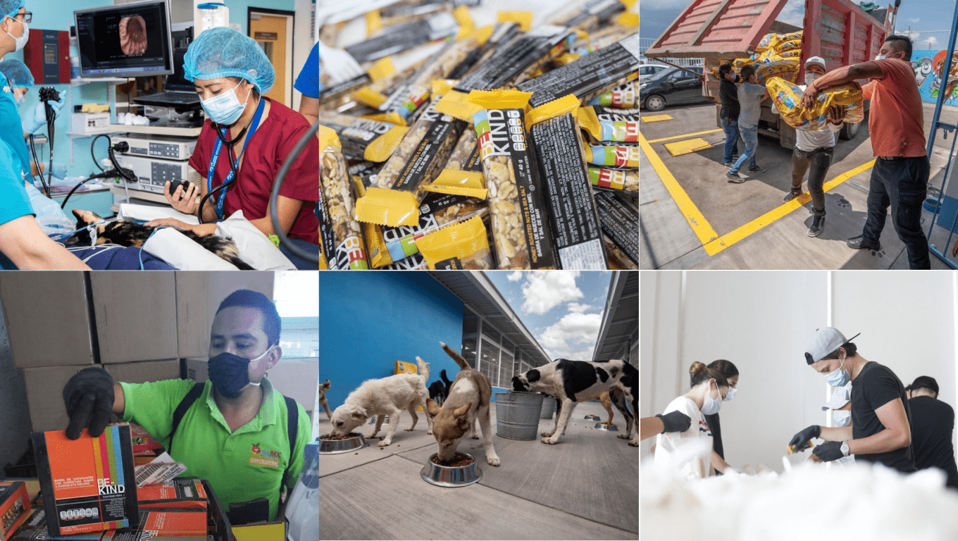 Imagen collage donaciones_0