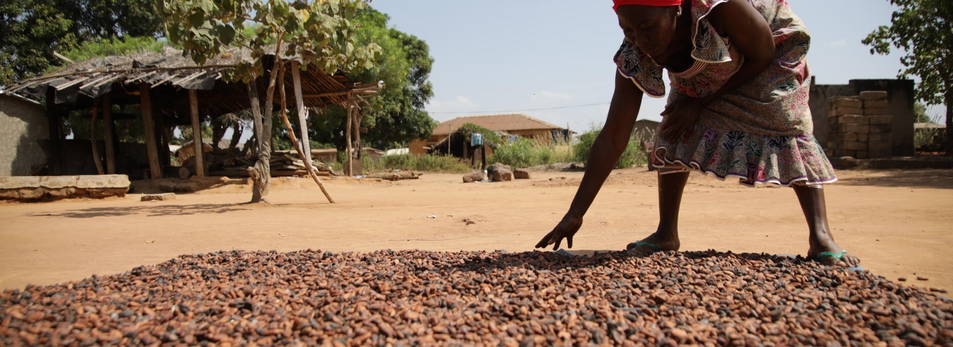 mars steunt 14000 cacaoboeren op weg naar een duurzaam inkomen