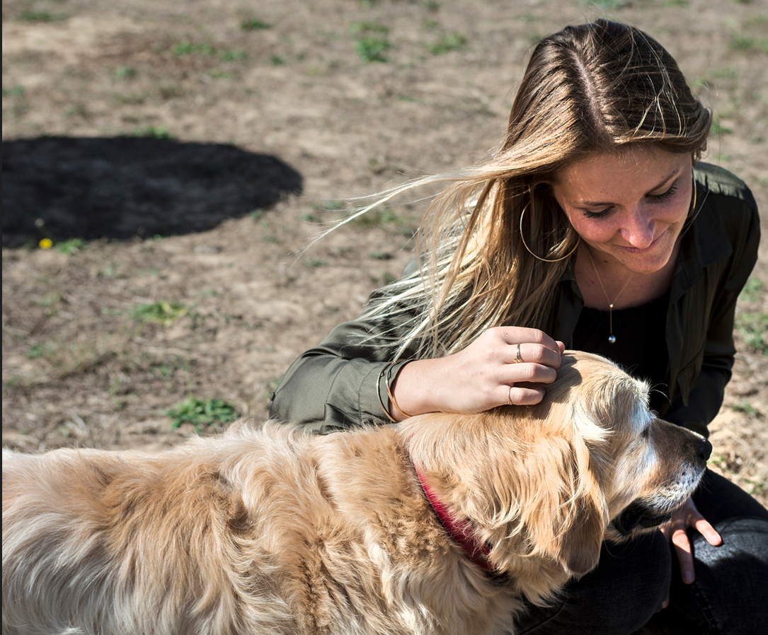 Better Cities for Pets