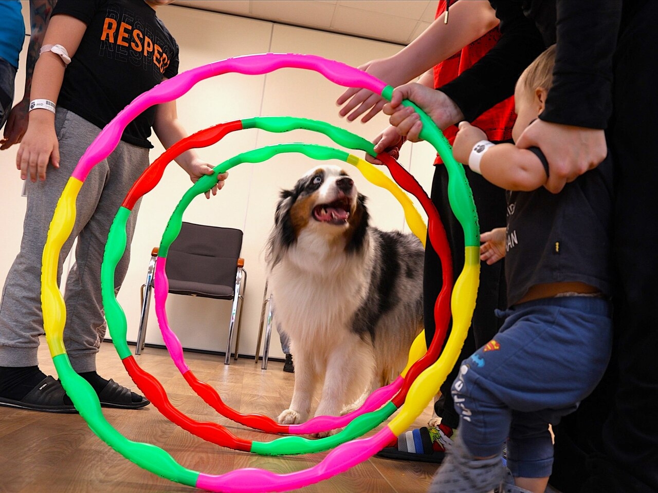 Dogoterapia Mars Polska, Fundacja Dr Clown