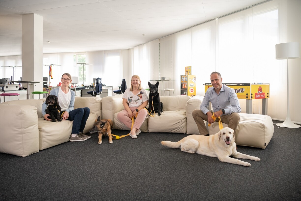 Hunde in Schweizer Büros