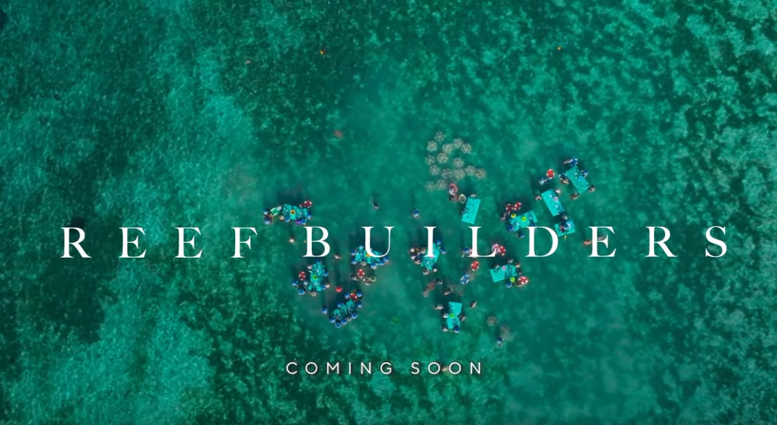 Zu sehen ist ein Korallenriff aus der Vogelperspektive, der Schriftzug "Reef Builder. Coming soon" ist darauf zu lesen.