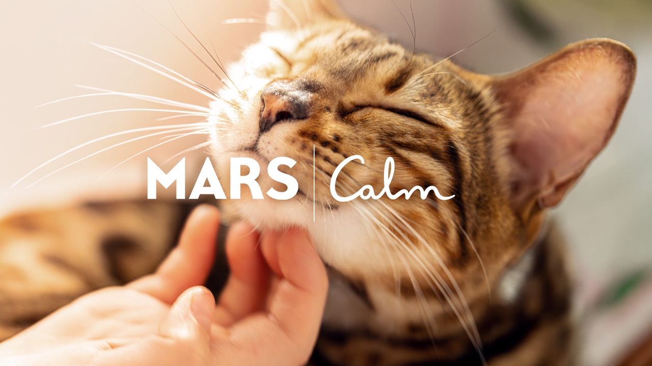 Calm & Mars