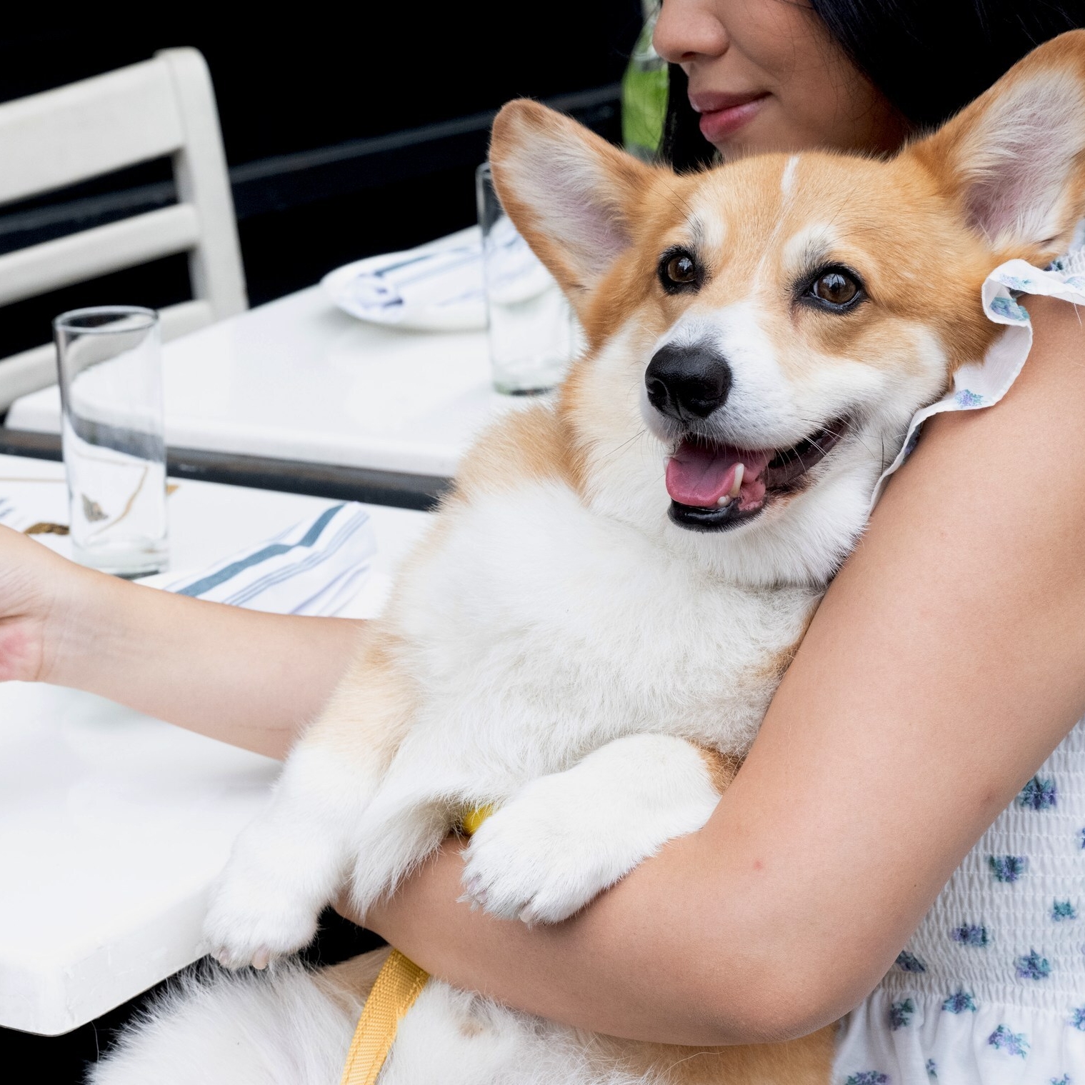 CESAR Restaurant Weekend returns for a second year, continuing in New York and expanding to Los Angeles, Chicago and Nashville