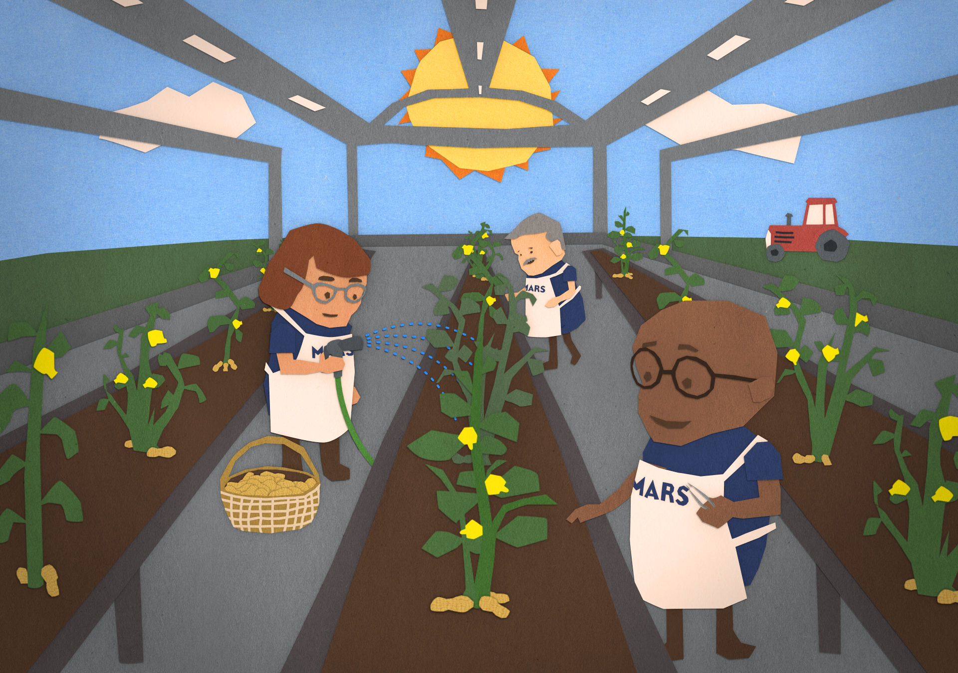 Protect the Peanut Plan Greenhouse Still