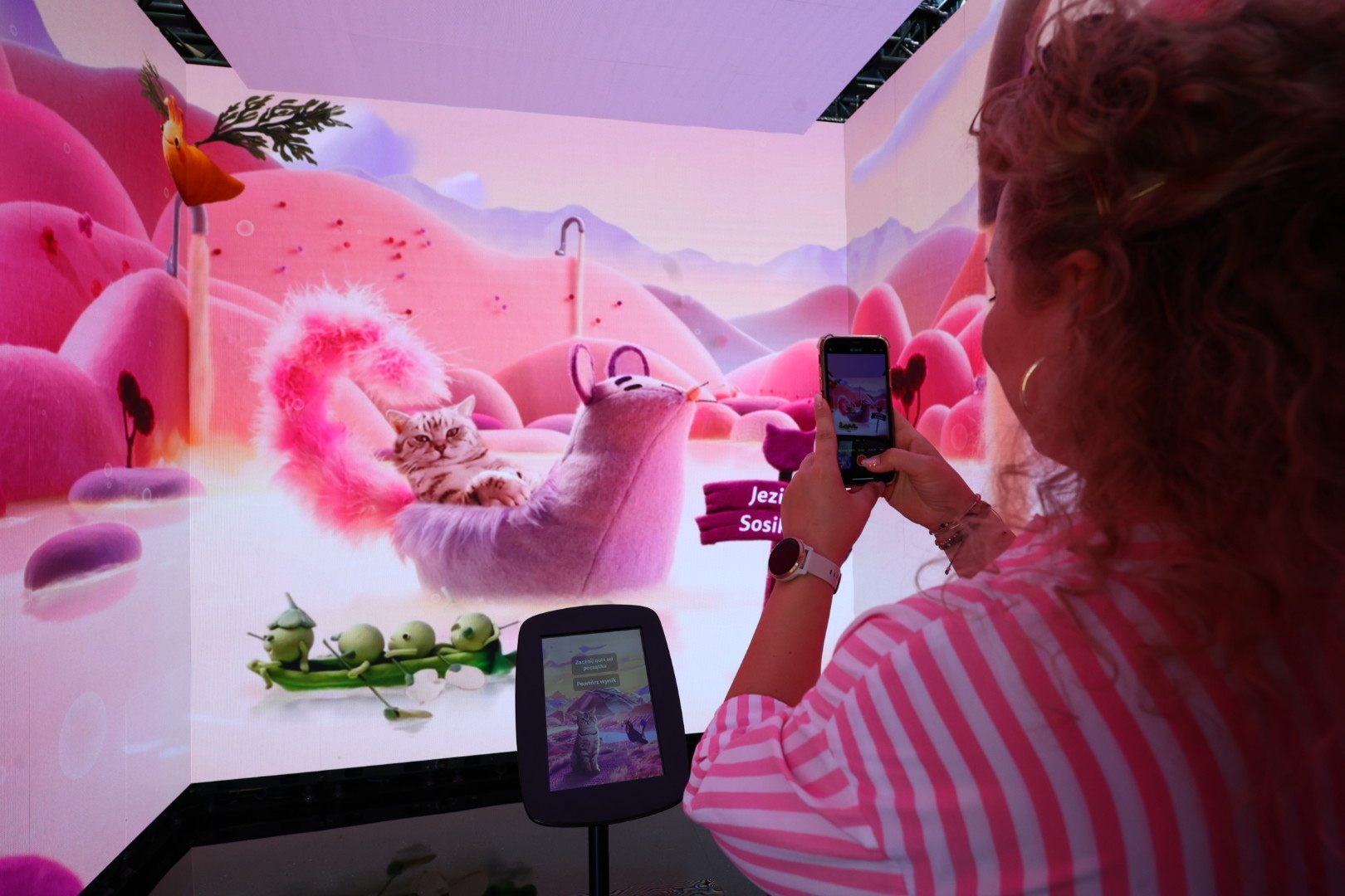 Koci Mrraj – WHISKAS® z wyjątkową odsłoną globalnej kampanii w Polsce