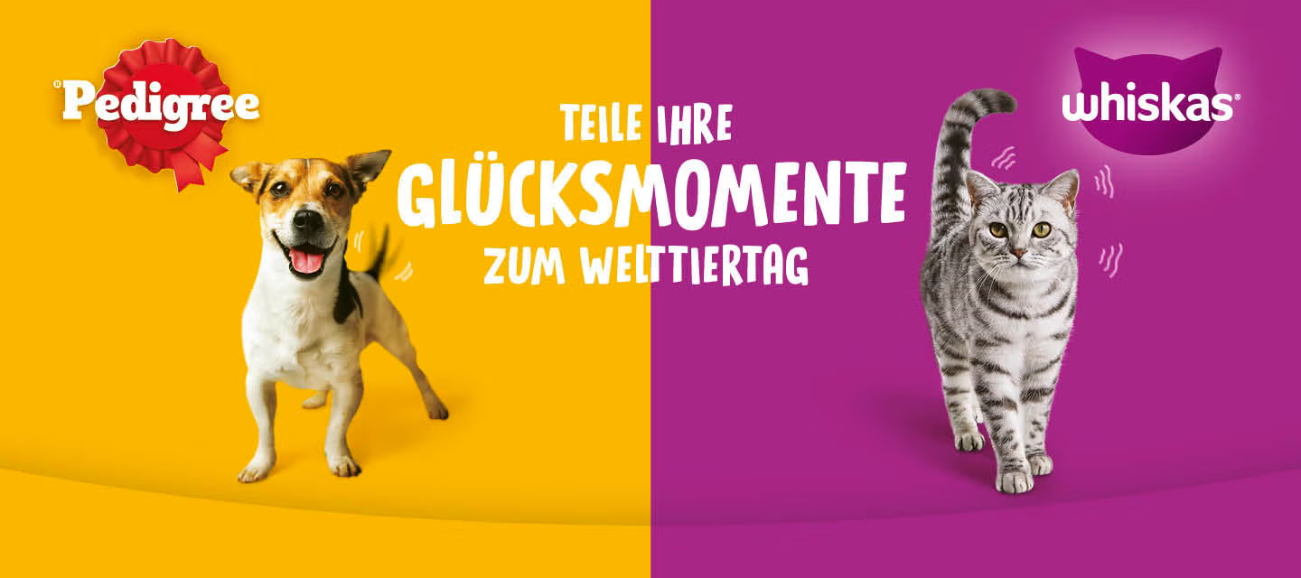 Tieradoption Welttiertag.ch