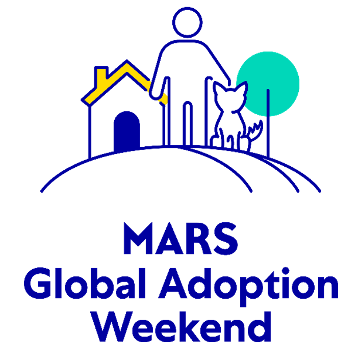 Global Adoption Weekend HERO_20251010