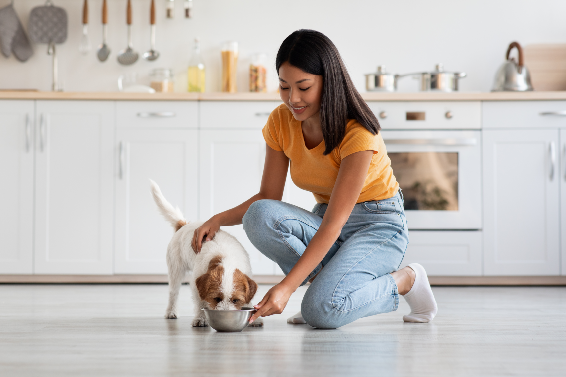 Woman feeding dog