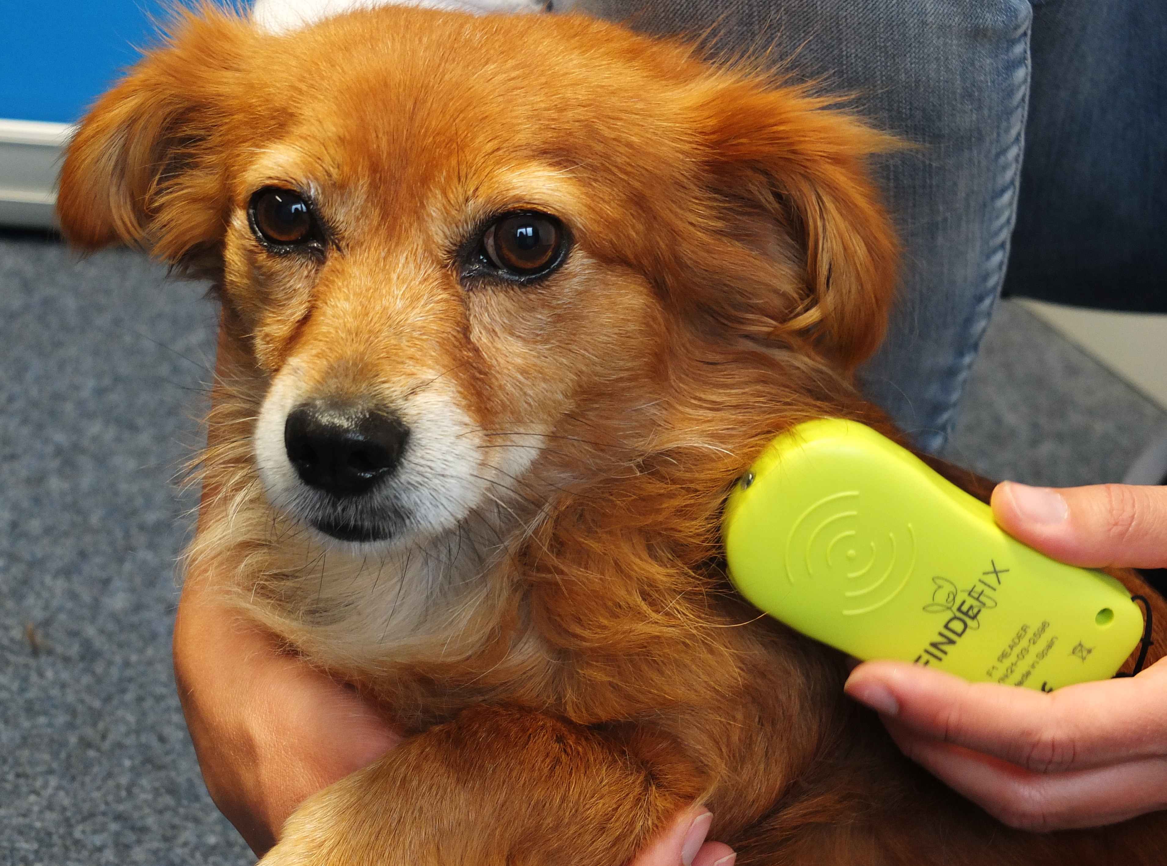 210819 Chiplesegeraet