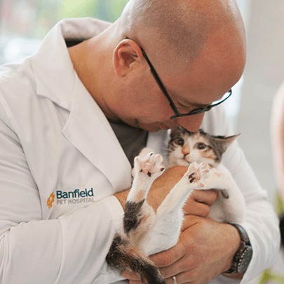 Banfield Pet hospital veterinarian petting a cat