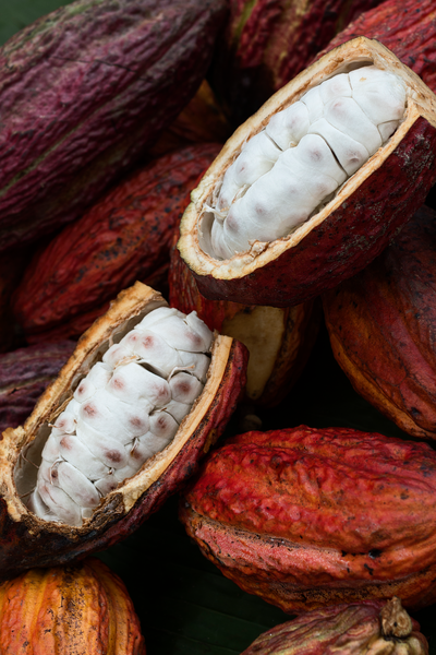 Cocoa beans