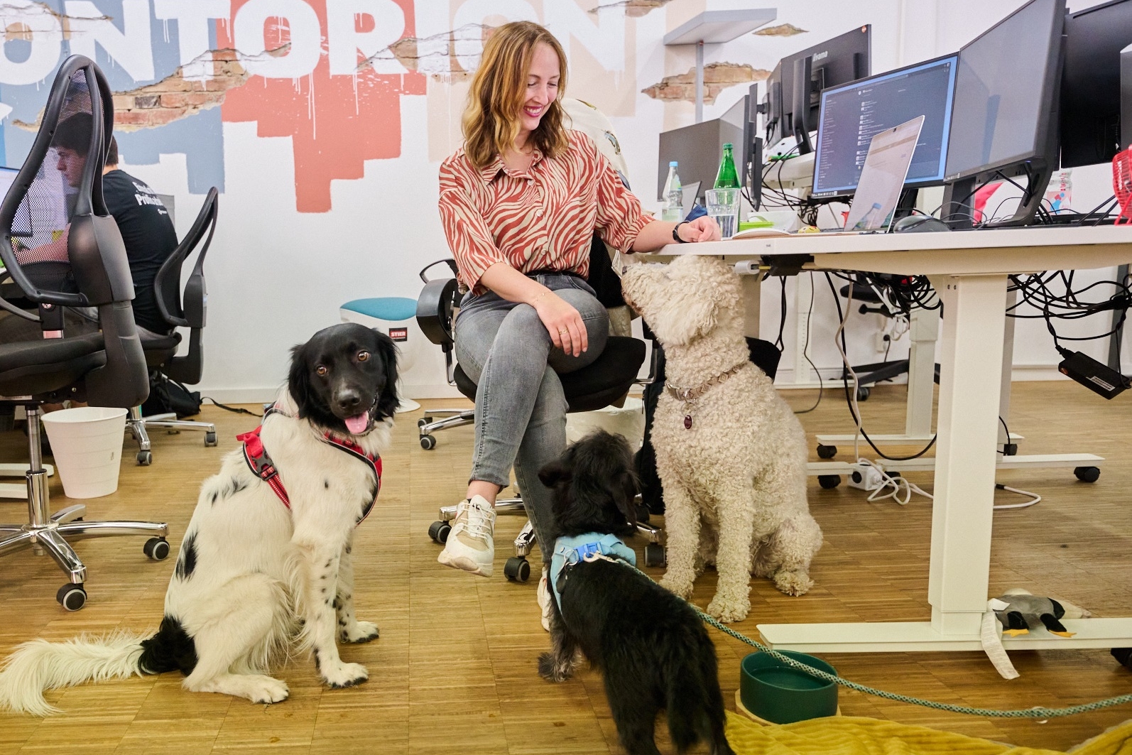 Mars_Petcare_PM_Kollege_Hund_Kollegin Hund_Buero