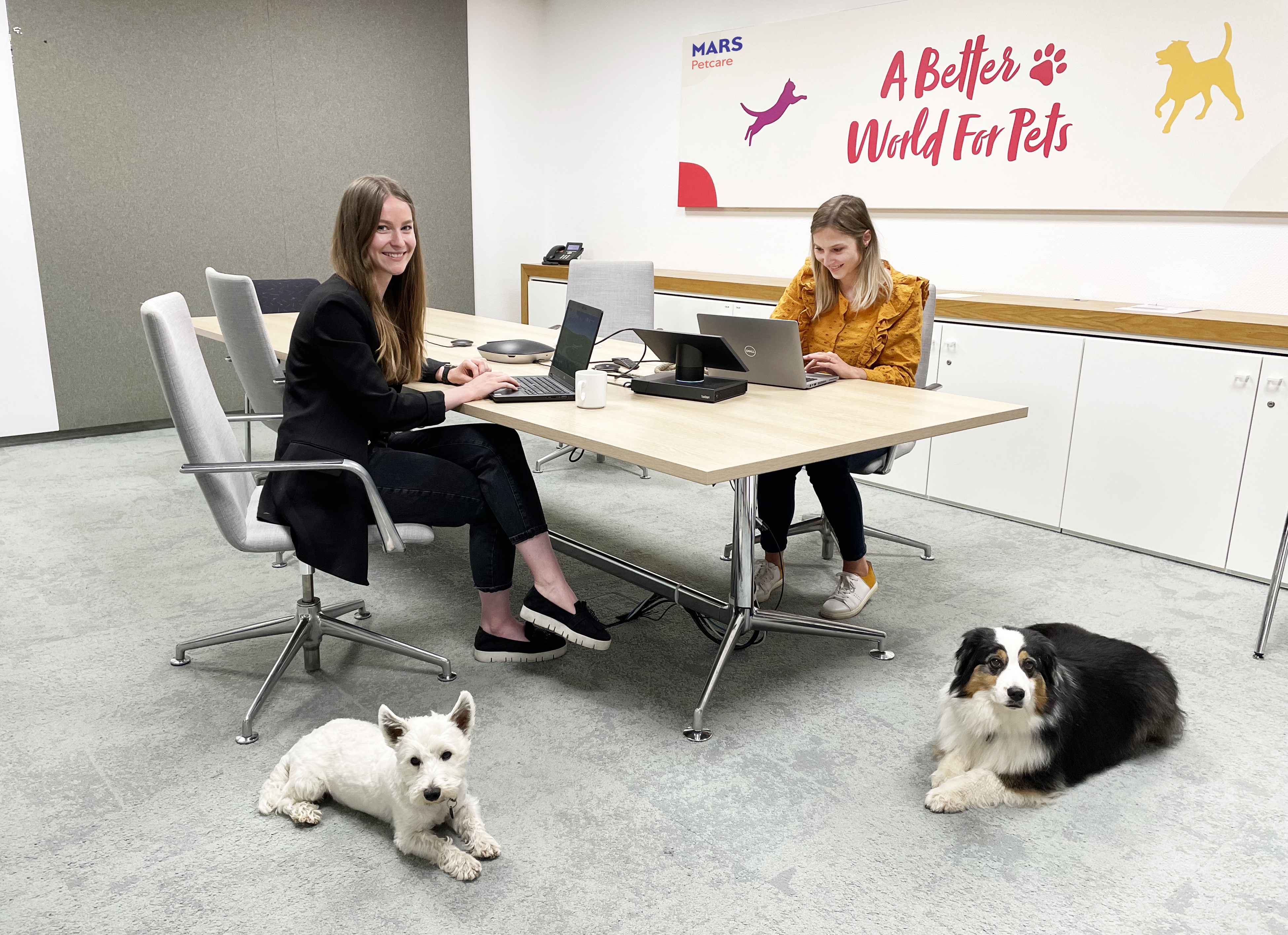 Mars_Petcare_PM_Kollege_Hund_Kolleginnen_Hund_Buero