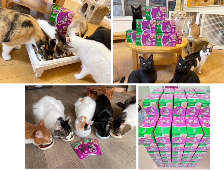 カルカン合体780 img