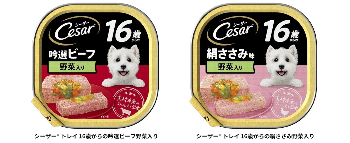 シーザートレイ2種文字入り (3) 1