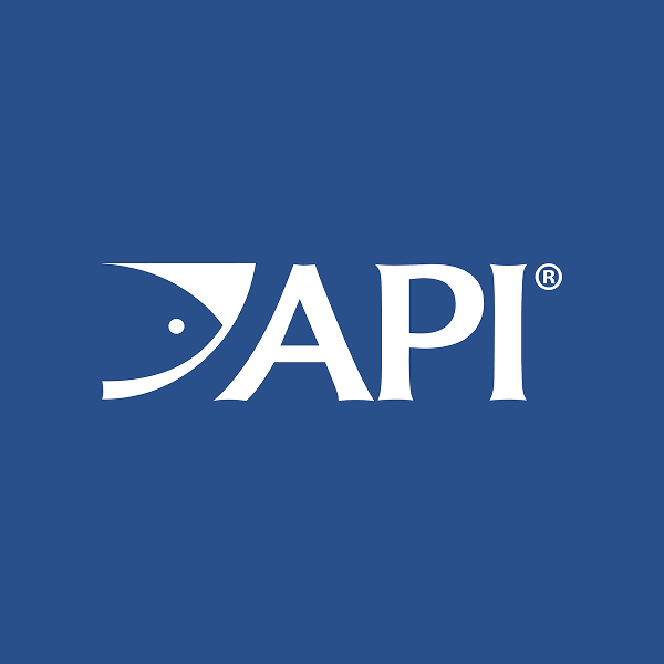 API Logo