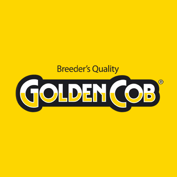 GOLDEN COB logo AU