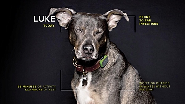 10,000 Dogs Teaching Humans New Tricks - Hero Image - cropped_0.jpg